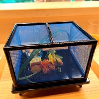 赤坂 菊乃井 - 虫籠を模して