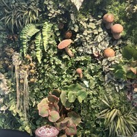Shangri-La's secret ROPPONGI - 