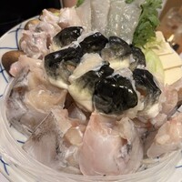 とらふぐ専門 ふぐ中俣 - 