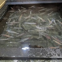 博多料亭 稚加榮 - 