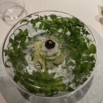 AZUR et MASA UEKI - 旬イカ　フェンネル　キャビアオシェトラ