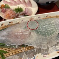 対馬のどぐろとイカ活き造り 博多 魚蔵 都ホテル店 - 