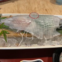 対馬のどぐろとイカ活き造り 博多 魚蔵 都ホテル店 - 