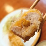 ぽん多本家 - 下味付いてるカツと自家製(と思われる)和辛子とも相性よいです♡