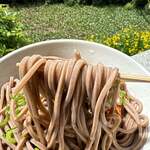 池内うどん店 - 