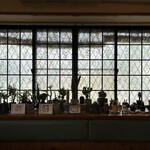 NOPPO CAFE - ノッポさんが好きなサボテンコレクションが圧巻。