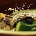 草喰 なかひがし - 