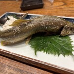 囲炉裏酒場MAGI/one.1 - 