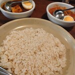 松本メーヤウ - ２色カレー