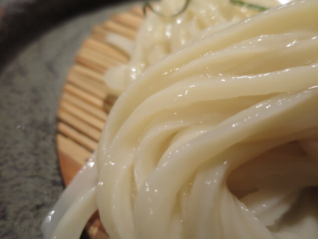 Udon