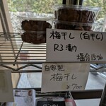 屋台風食堂24番 - 店内