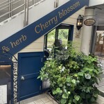 Curry&herb Cherry blossom - 