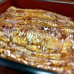 川京 - うな重（上）