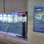 近畿大学水産研究所 - 