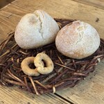 オステリア セルヴァジーナ - 