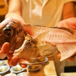 さえ喜 - メイチ鯛