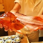 さえ喜 - あかっぽ（アカハタ）