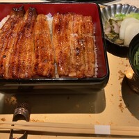 うなぎ 目白ぞろ芽 - 