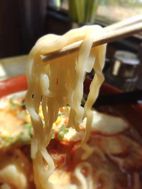 手打らーめん紅花 - 東根市その他（ラーメン）の写真