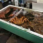 市場食堂 味処たけだ   - タラバガニの皆様達