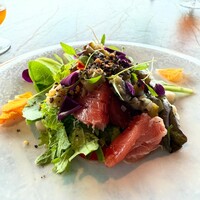 International cuisine subzero - 