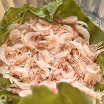 鮨処 暁 -akatsuki- - 