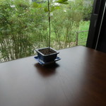 竹ばやし - 心落ち着く竹林