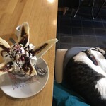 散歩かふぇちゃらぽこ - 