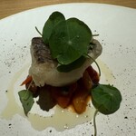 オステリア イル ガルボ - 