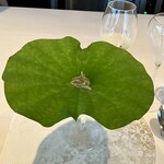 VANKA - ウニとトウモロコシのムース、伝統野菜ジュンサイ