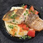 トレ・ステッレ - 