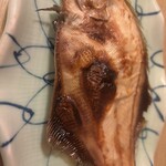 地魚料理 すが - 