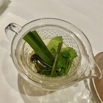 VANKA - お茶、レモンバーベナ、カモミール、レモングラス、ミント、甘茶