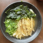 土俵うどん - わかめごぼう天うどん