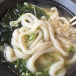 土俵うどん - 太めの麺