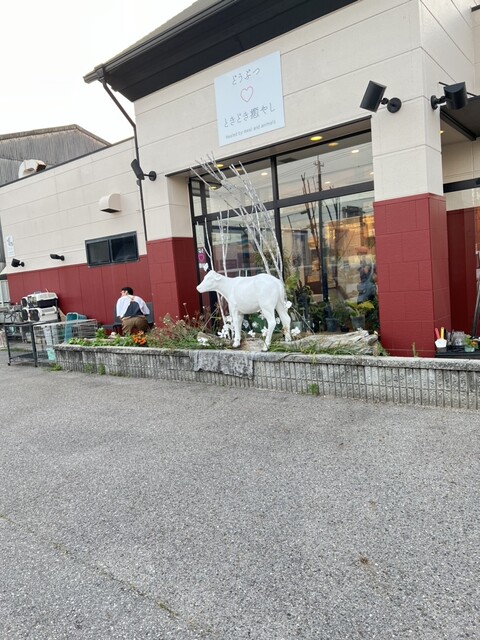 どうぶつ ときどき癒やし - 本星崎/カフェ | 食べログ