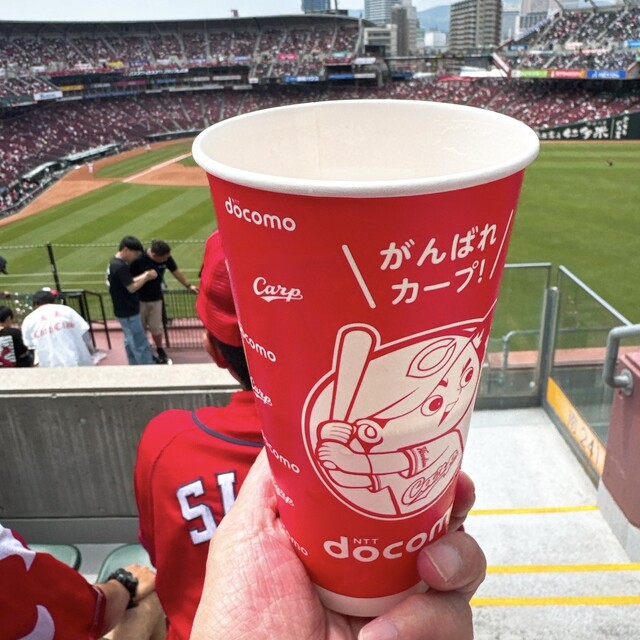 MAZDA Zoom-Zoom Stadium Hiroshima photo 5