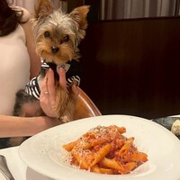 アルベロ ネロ - 