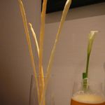 グリッシーニ・2014/8