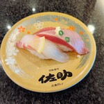 佐助 - 料理写真:おすすめ2種(すずき・かつお)