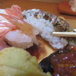 魚河岸 ひかり寿司 - 