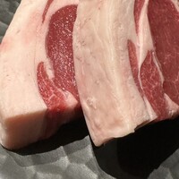 金山成吉思汗 - 