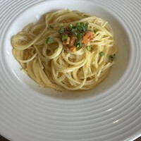 オーシャン カシータ - 