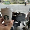 スターバックスコーヒー 奈良猿沢池店