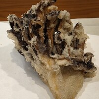 天ぷら 逢坂 - 