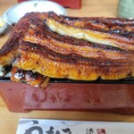 町田 うなぎ流木 - 