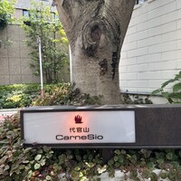代官山カルネジーオ - 