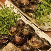 桑名蛤料理・蛤しゃぶしゃぶ 貝新 - 