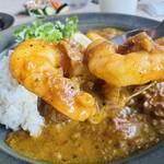 オクシモロン コマチ - 