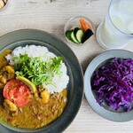 オクシモロン コマチ - 